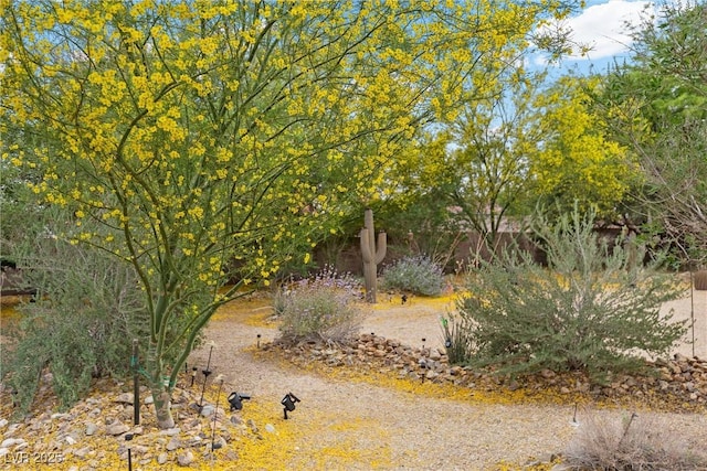 4185 W Arby Ave, Las Vegas, NV 89118 - view of local wilderness