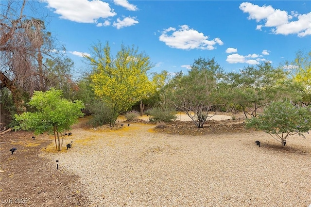 4185 W Arby Ave, Las Vegas, NV 89118 - view of nature