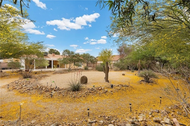 4185 W Arby Ave, Las Vegas, NV 89118 - view of yard