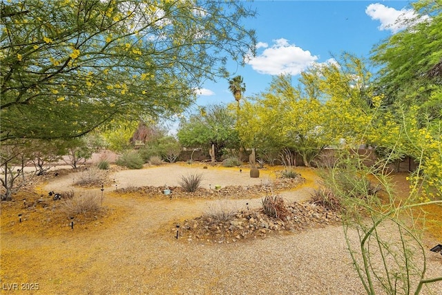 4185 W Arby Ave, Las Vegas, NV 89118 - view of nature