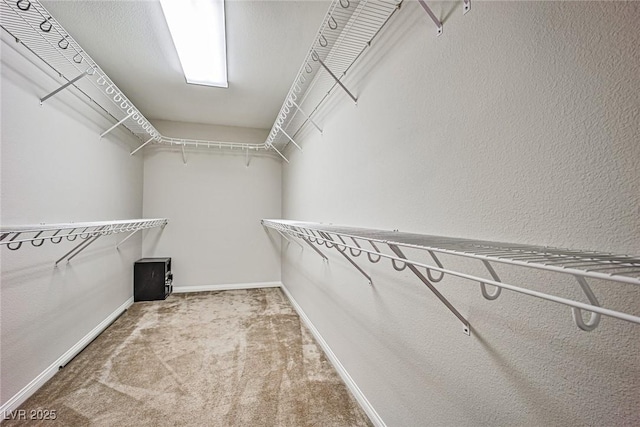 6409 Shawnee Springs Ct, Las Vegas, NV 89139 - walk in closet featuring carpet