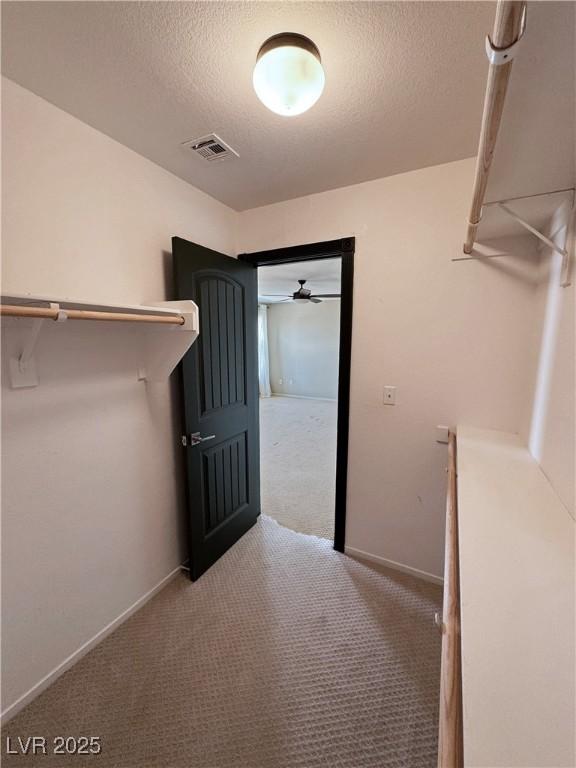 3938 E Chaffe Ave, Pahrump, NV 89061 - spacious closet featuring carpet