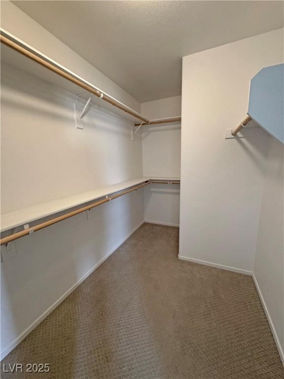 3938 E Chaffe Ave, Pahrump, NV 89061 - walk in closet featuring carpet flooring