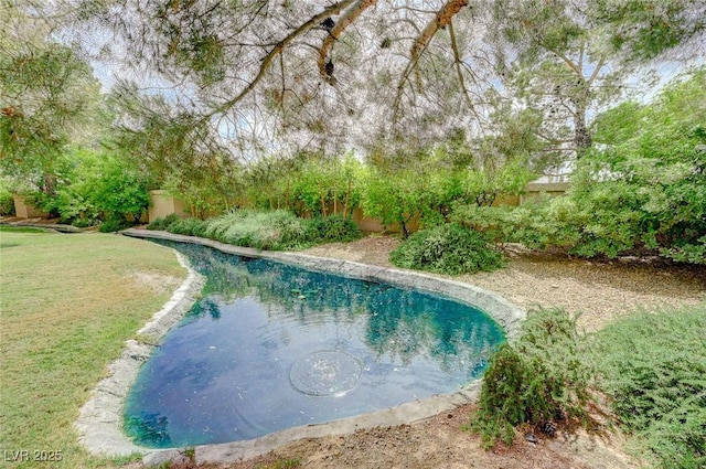 8591 Heather Downs Dr, Las Vegas, NV 89113 - view of outdoor pool