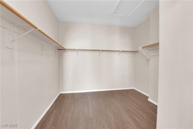82 Autumn Day St, Henderson, NV 89012 - walk in closet featuring wood finished floors and attic access