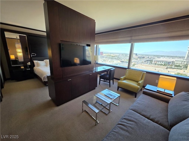 living area with light carpet
