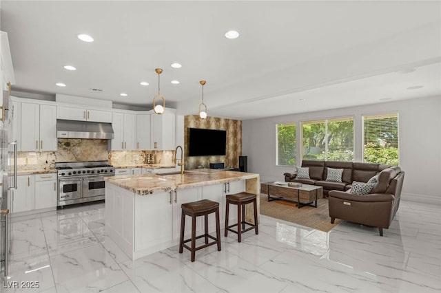 2940 Cimini Ct, Henderson, NV 89052 - kitchen featuring double oven range, under cabinet range hood, a sink, recessed lighting, and open floor plan