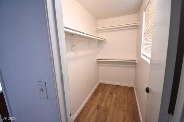 2528 Sierra Bello Ave Unit 103, Las Vegas, NV 89106 - photo 10