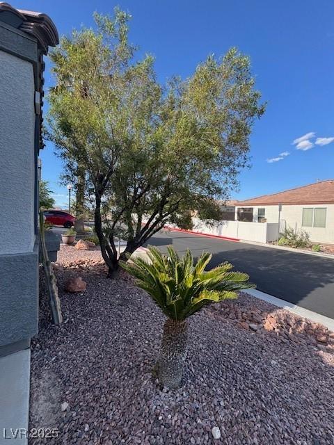 8325 Aspen Village St, Las Vegas, NV 89113 - view of yard