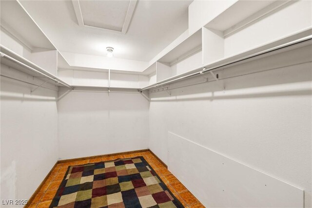 1320 Daytona St, Pahrump, NV 89048 - view of spacious closet