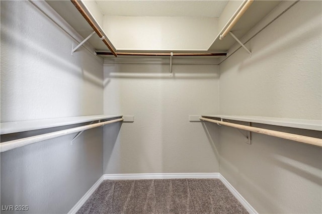 1620 Yellow Rose St, Las Vegas, NV 89108 - spacious closet with carpet