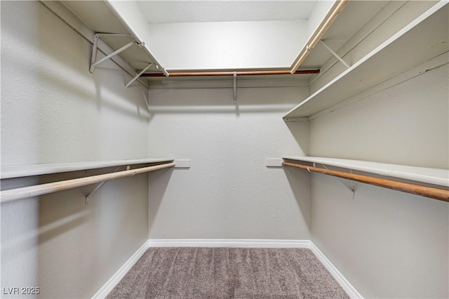 1620 Yellow Rose St, Las Vegas, NV 89108 - spacious closet featuring carpet floors