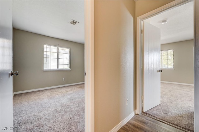 1620 Yellow Rose St, Las Vegas, NV 89108 - corridor with carpet flooring, healthy amount of natural light, and baseboards