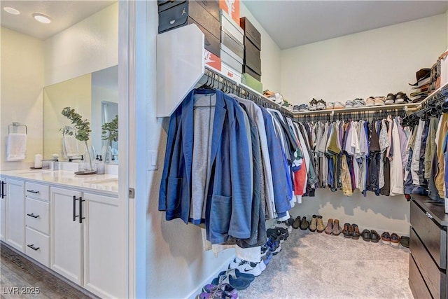 8335 Beaten Path Ct, Las Vegas, NV 89166 - spacious closet featuring a sink
