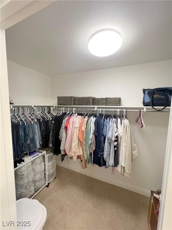 8340 Winterchase Pl, Las Vegas, NV 89143 - spacious closet featuring carpet flooring