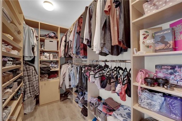 11244 Gammila Dr, Las Vegas, NV 89141 - spacious closet with wood finished floors