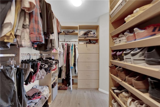 11244 Gammila Dr, Las Vegas, NV 89141 - walk in closet with light wood-style flooring