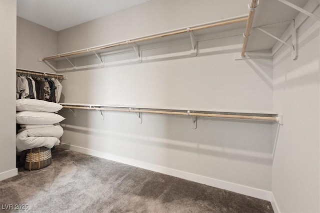 10324 Stroma Ave, Las Vegas, NV 89166 - spacious closet with carpet flooring