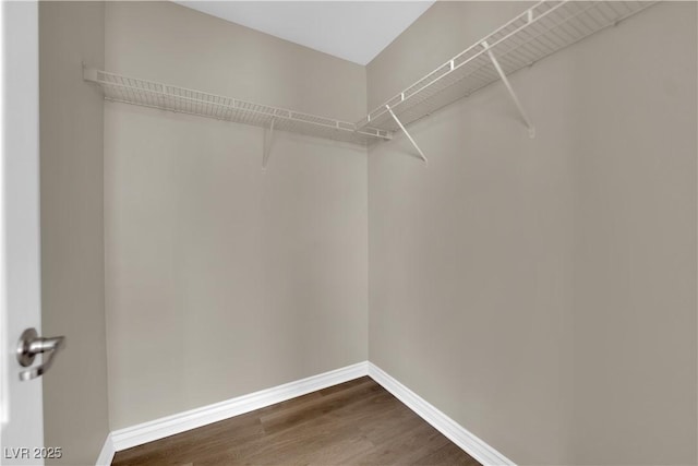 125 Sharp Edge Ave, North Las Vegas, NV 89031 - walk in closet with dark wood-style floors