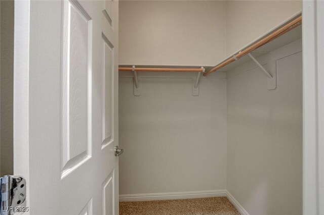 1055 Fish Pond Ave, Henderson, NV 89014 - walk in closet with carpet floors