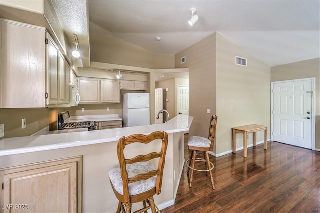 1557 Lake Placid Ter Unit 1557, Henderson, NV 89014 - kitchen featuring white appliances, vaulted ceiling, dark wood finished floors, a peninsula, and light countertops