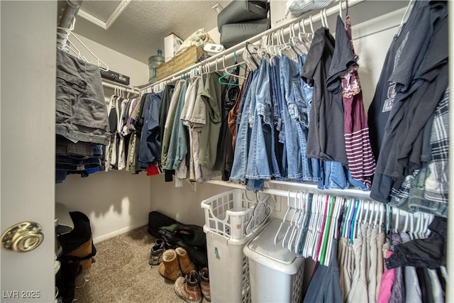 3581 Margarita Ave, Pahrump, NV 89048 - walk in closet with carpet flooring