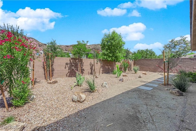40 Vicolo Della Luna, Henderson, NV 89011 - photo 35