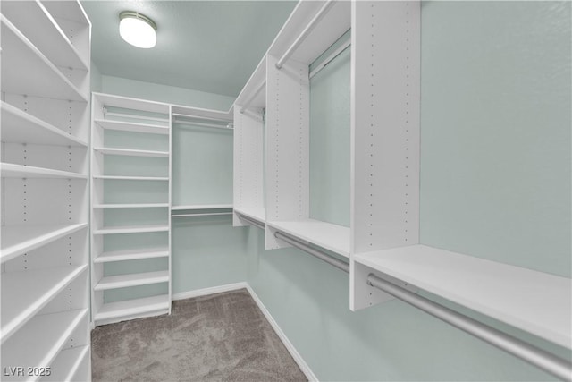 2257 Norway Pine Ct, Las Vegas, NV 89134 - spacious closet featuring carpet floors
