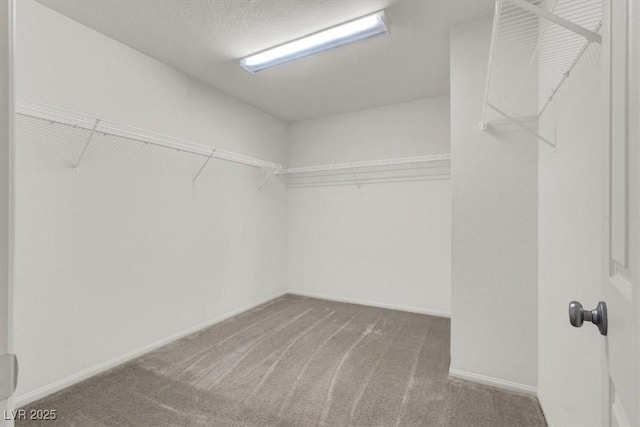 9198 Harbin Ave, Las Vegas, NV 89148 - spacious closet featuring carpet floors