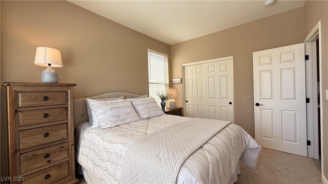 4299 Fiore Bella Blvd, Las Vegas, NV 89135 - carpeted bedroom with a closet
