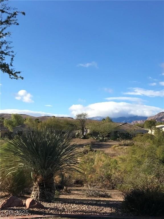 4299 Fiore Bella Blvd, Las Vegas, NV 89135 - mountain view