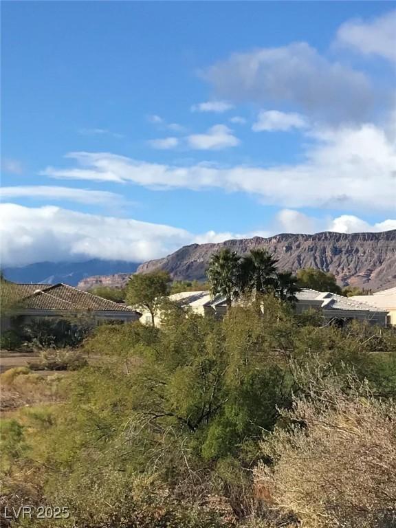 4299 Fiore Bella Blvd, Las Vegas, NV 89135 - view of mountain background