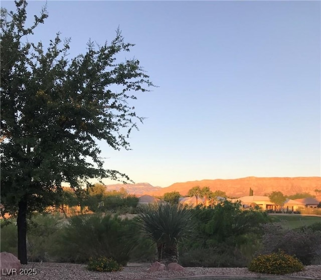 4299 Fiore Bella Blvd, Las Vegas, NV 89135 - yard at dusk featuring a mountain view