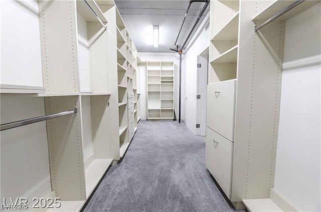 360 E Desert Inn Rd Unit 807, Las Vegas, NV 89109 - walk in closet with carpet