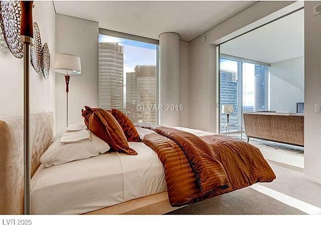 bedroom with access to outside