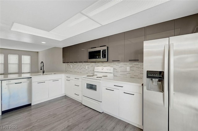 kitchen featuring appliances with stainless steel finishes, a sink, light countertops, tasteful backsplash, and light wood-style floors