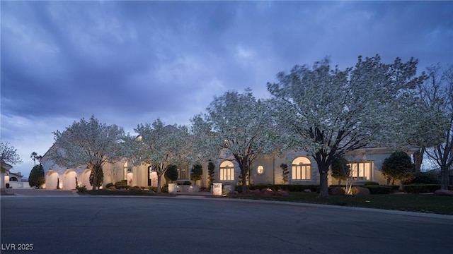 1610 Brock Ct, Las Vegas, NV 89117 - view of property hidden behind natural elements featuring stucco siding and curved driveway
