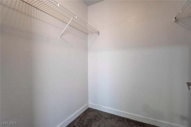 7905 Idledale Ct Unit 102, Las Vegas, NV 89145 - spacious closet with dark carpet