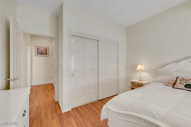 10532 Sea Palms Ave, Las Vegas, NV 89134 - bedroom with light wood-style flooring and a closet