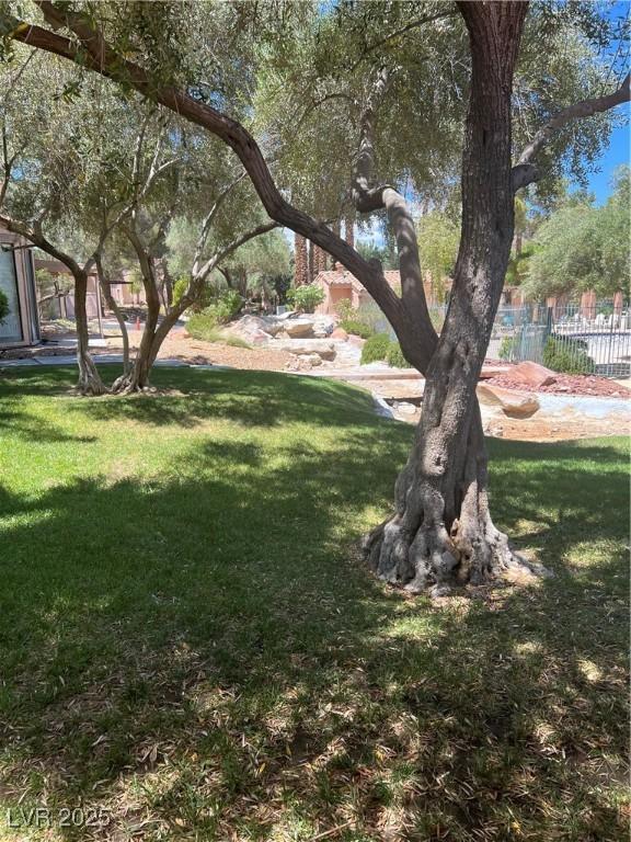 3394 Brookfield Dr, Las Vegas, NV 89120 - view of yard