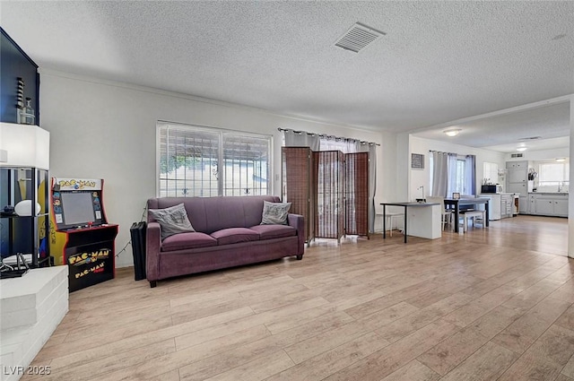 3018 Burnham Ave, Las Vegas, NV 89169 - living room with light wood-style floors and a textured ceiling