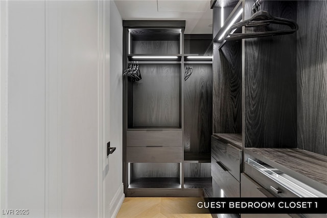 view of walk in closet