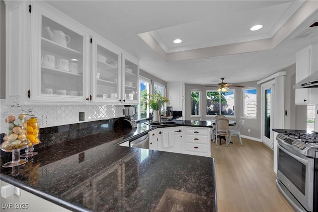 4617 Mancilla St, Las Vegas, NV 89130 - kitchen featuring appliances with stainless steel finishes, a tray ceiling, a peninsula, white cabinets, and light wood-style floors