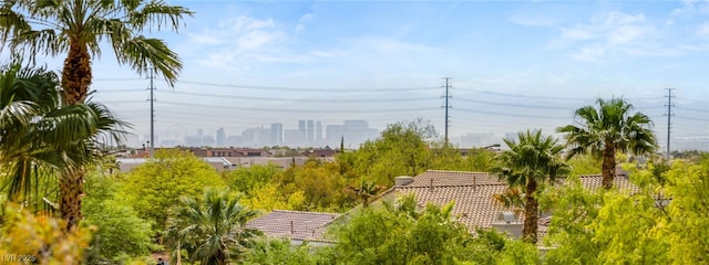 11453 Glowing Sunset Ln, Las Vegas, NV 89135 - view of home's community