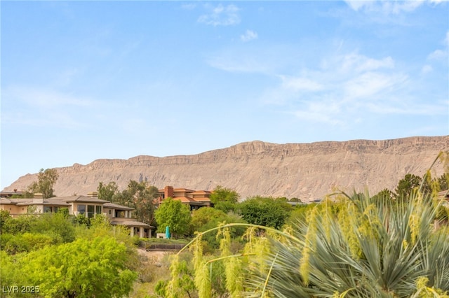 11453 Glowing Sunset Ln, Las Vegas, NV 89135 - mountain view