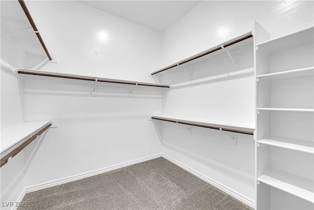 720 Webber Park St, Henderson, NV 89011 - walk in closet featuring carpet flooring