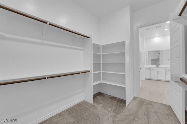 720 Webber Park St, Henderson, NV 89011 - spacious closet with light carpet