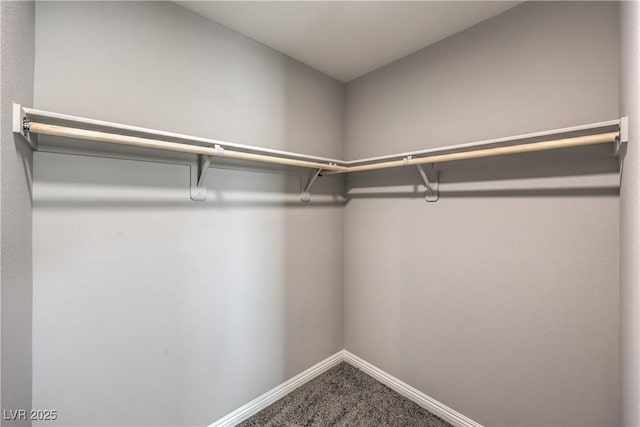 1201 Seaboard Ct, Henderson, NV 89002 - walk in closet with carpet flooring