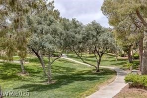 view of property's community featuring a lawn