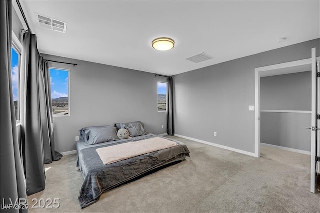 3192 Timorasso Ave, Henderson, NV 89044 - carpeted bedroom with multiple windows and baseboards